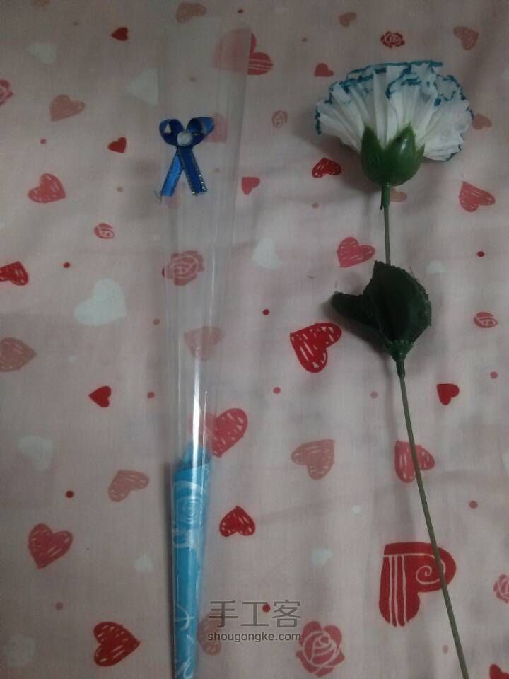 康乃馨 第24步