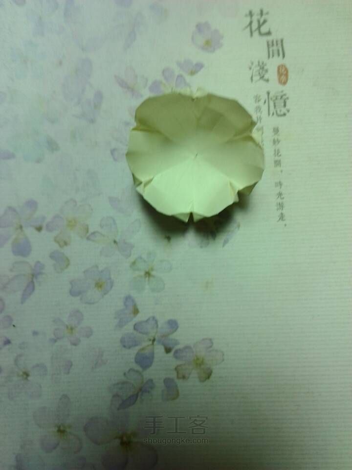 清新铃兰花 第24步