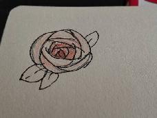 这里介绍了玫瑰画法，其实很简单，加油！