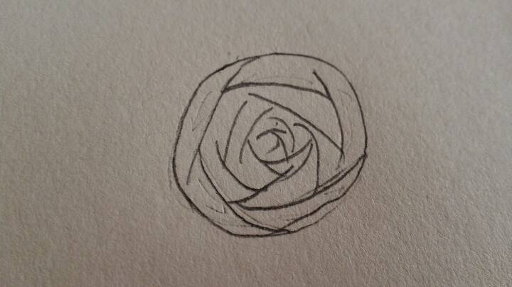 玫瑰的画法 第4步