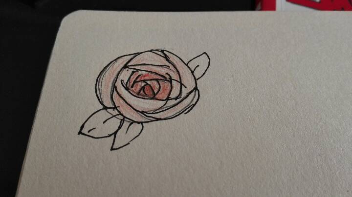 玫瑰的画法 第1步