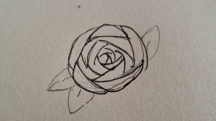 玫瑰的画法 第6步