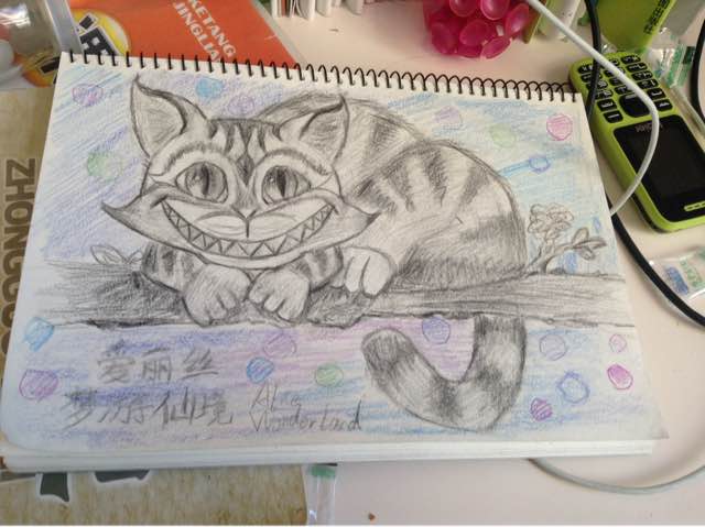 【手绘】还记得爱丽丝与梦游仙境的柴郡猫吗? 第8步