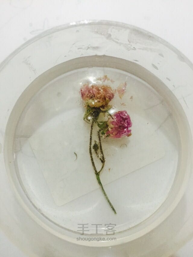 鲜花滴胶作品 第5步