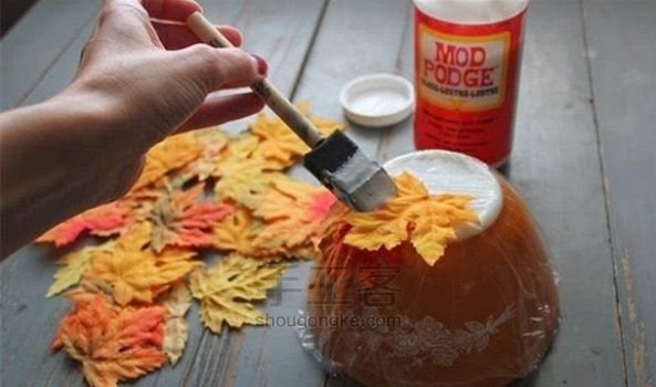 （转载）用枫叶制作精美有趣的小碗 第1步