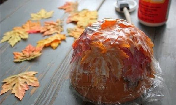 （转载）用枫叶制作精美有趣的小碗 第2步