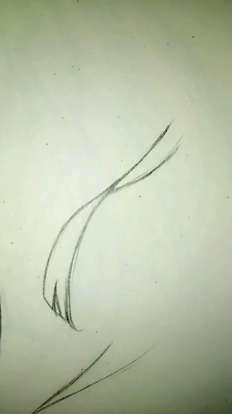 一分钟教你画好双马尾～ 第4步