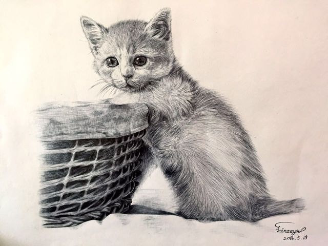 猫（圆珠笔画） 第1步