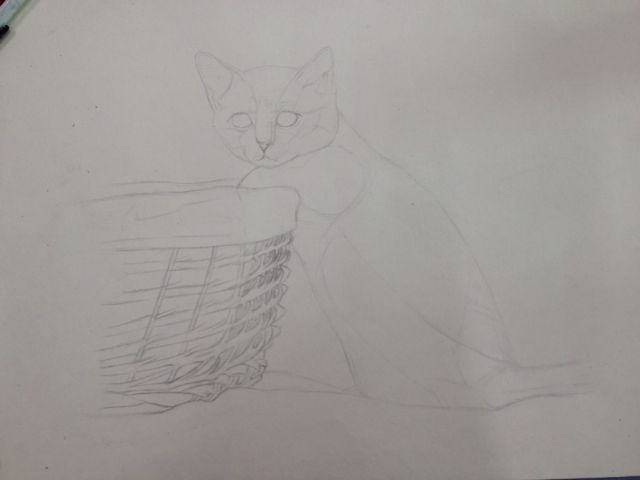 猫（圆珠笔画） 第2步