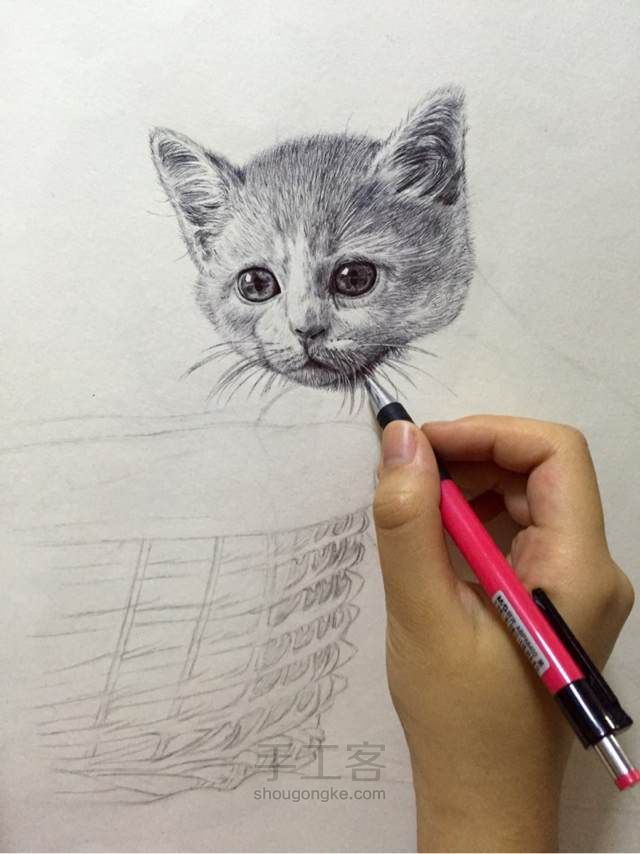 猫（圆珠笔画） 第6步