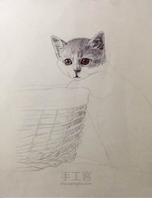 猫（圆珠笔画） 第5步