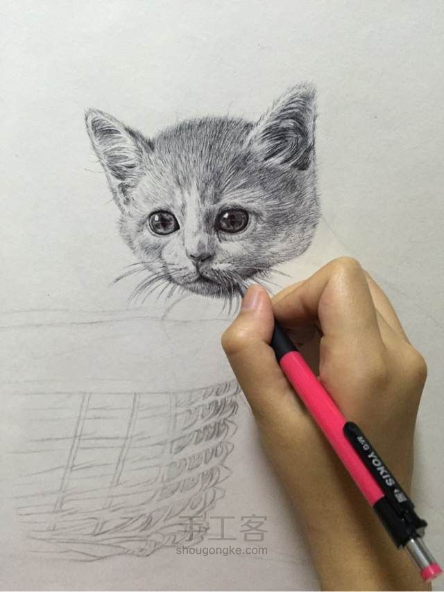 猫（圆珠笔画） 第7步