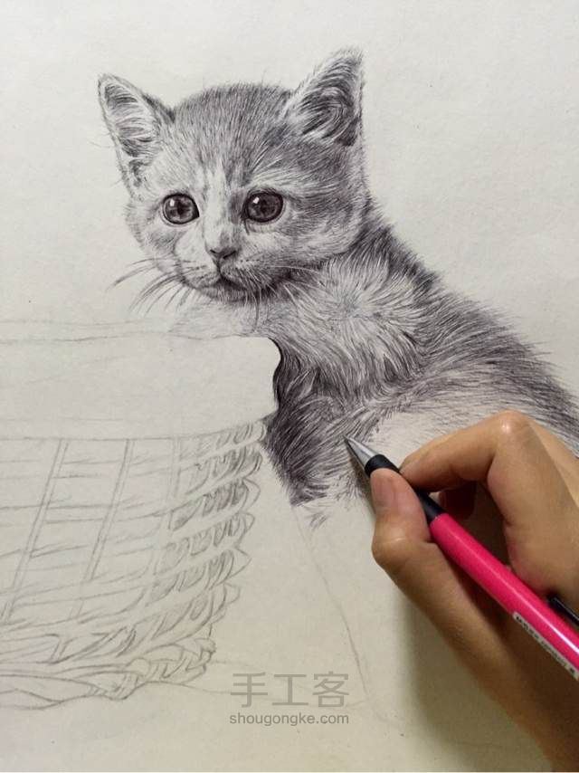 猫（圆珠笔画） 第10步