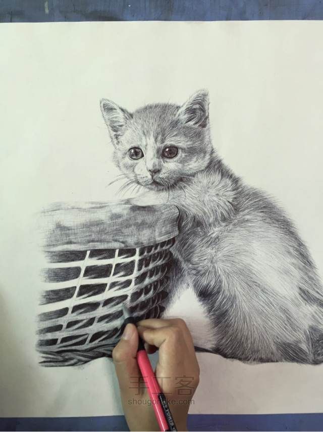 猫（圆珠笔画） 第15步