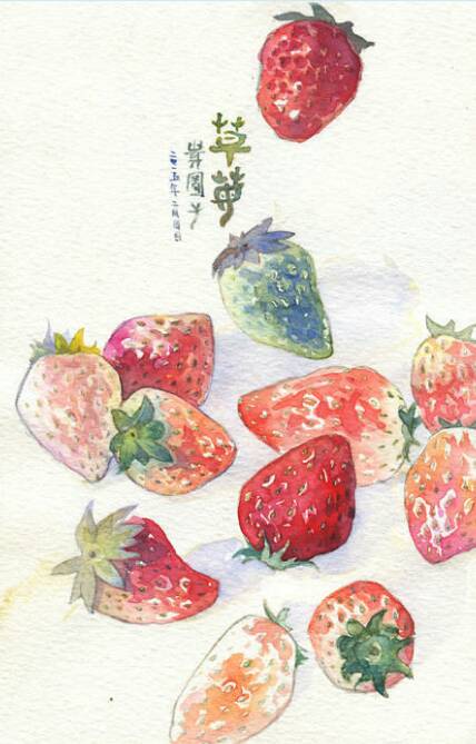 水彩草莓🍓 第1步