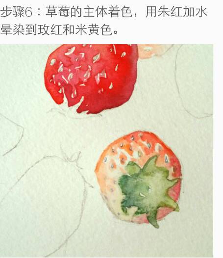 水彩草莓🍓 第7步