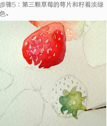水彩草莓🍓 第6步