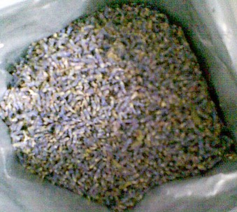 自制高纯度薰衣草纯露 第2步