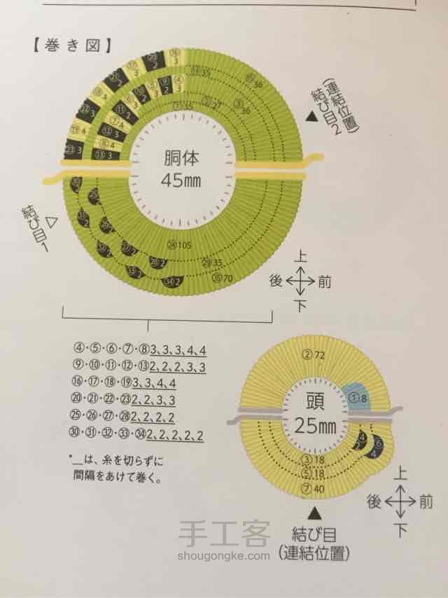 毛球鹦鹉 第1步