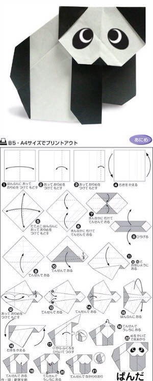 （转）折纸的世界 第9步
