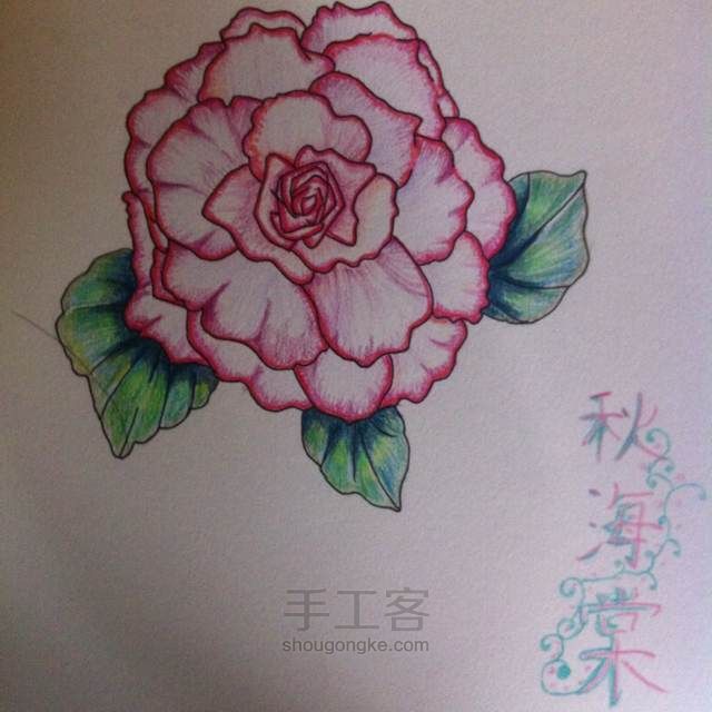 论如何捕捉一只秋海棠 第11步