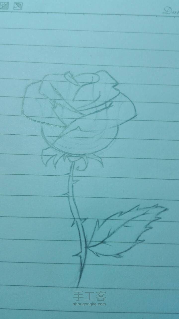教你画玫瑰🌹 第5步