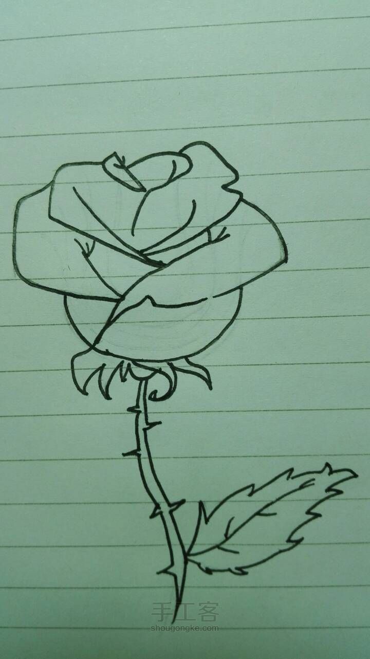 教你画玫瑰🌹 第6步