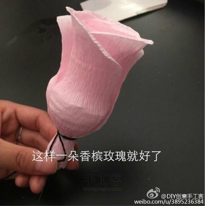 香槟玫瑰🌹 第6步