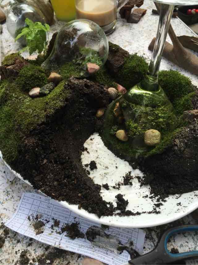 苔藓➕多肉的空中花园 第18步