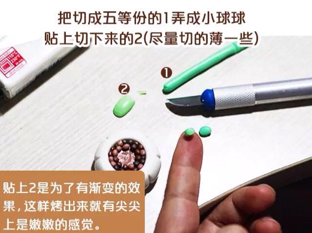 转）美味的多肉 第10步