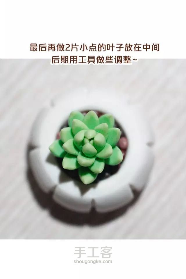 转）美味的多肉 第17步