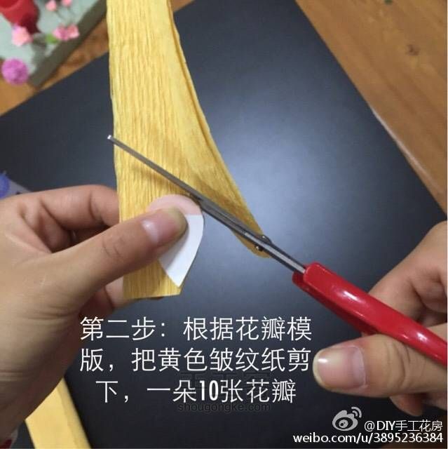 小小盆栽 第2步