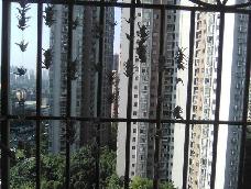 千纸鹤可以当挂饰哟