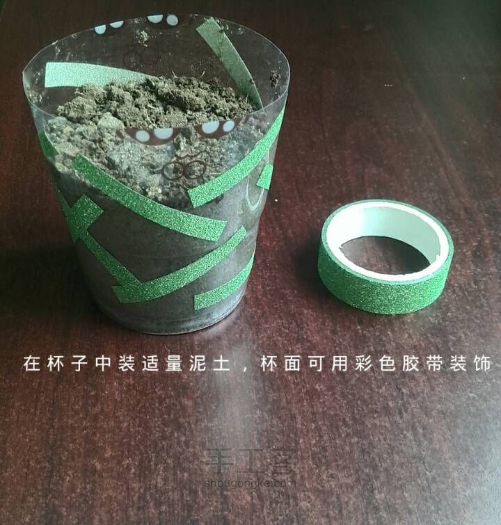 夏日小盆栽 第5步