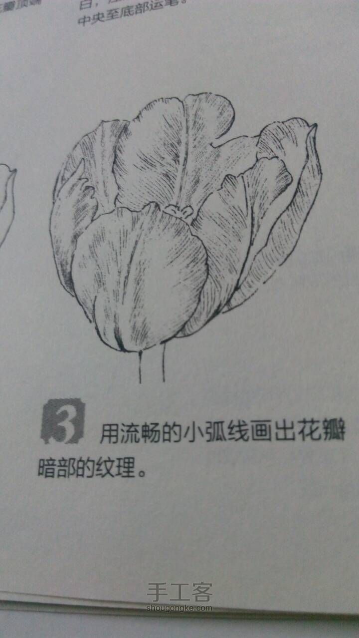 转）百花齐放之百变佳人（2） 第3步