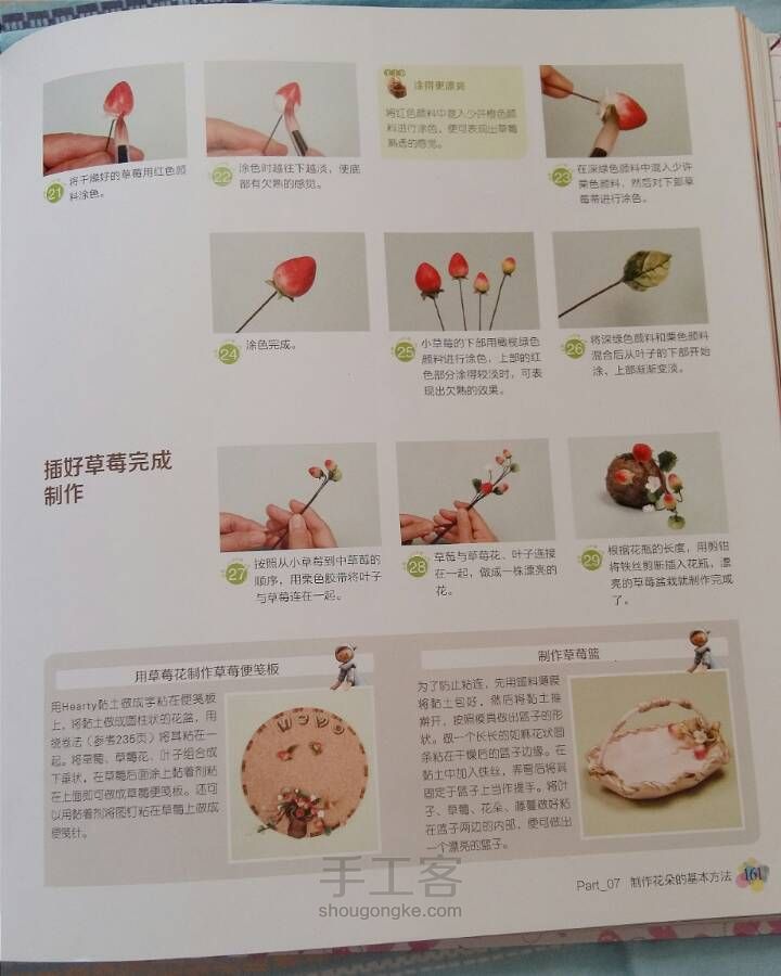 （转）草莓盆栽 第5步