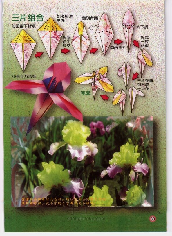 花卉折纸基础 第33步
