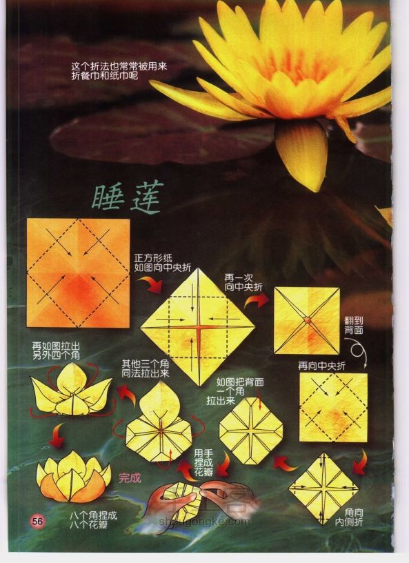 花卉折纸基础 第56步