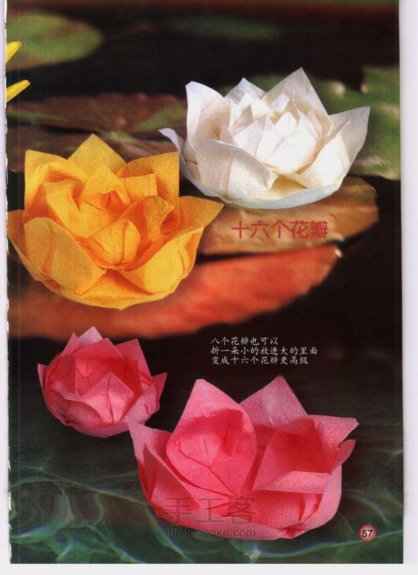 花卉折纸基础 第57步