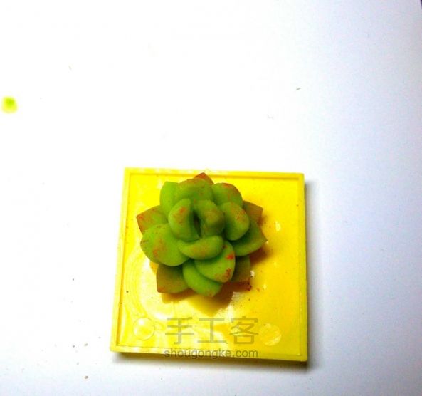 橡皮泥/粘土多肉植物. 第8步