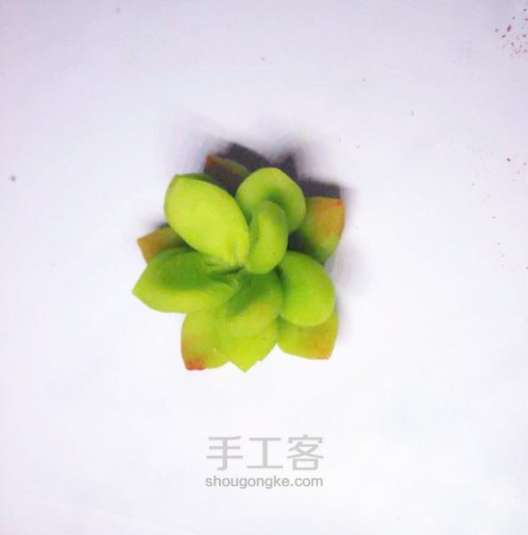 橡皮泥/粘土多肉植物. 第7步