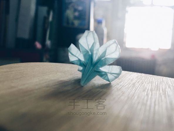 美丽樱花折法 第51步