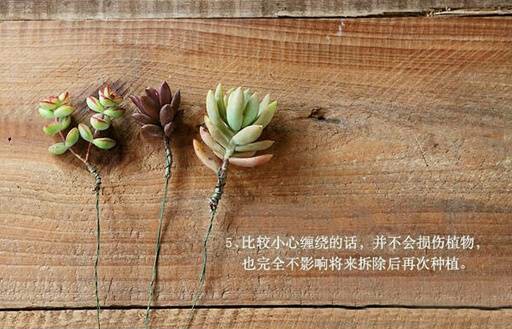 手捧花DIY 第5步