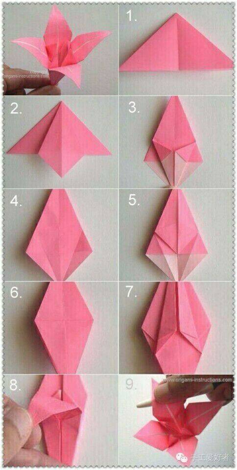 折纸 第12步