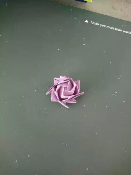 川崎玫瑰🌸 第28步