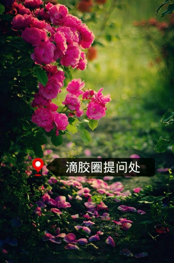 滴胶圈提问处！之前的提问帖好久没整理了，终于腾出时间整理了一下，麻烦各位小伙伴提问之前先浏览原帖！常见问题都有解答！！让我们一起进步吧！！