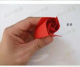 玫瑰花，献给你爱的人♥ 第11步