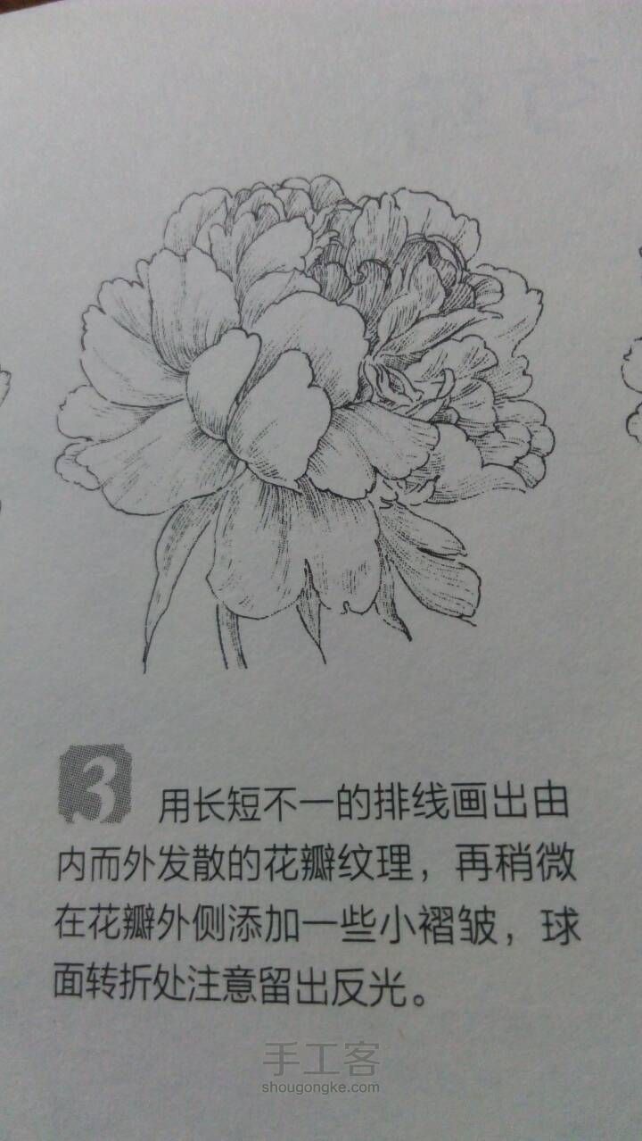 （转）百花齐放之天香绝色。 第15步