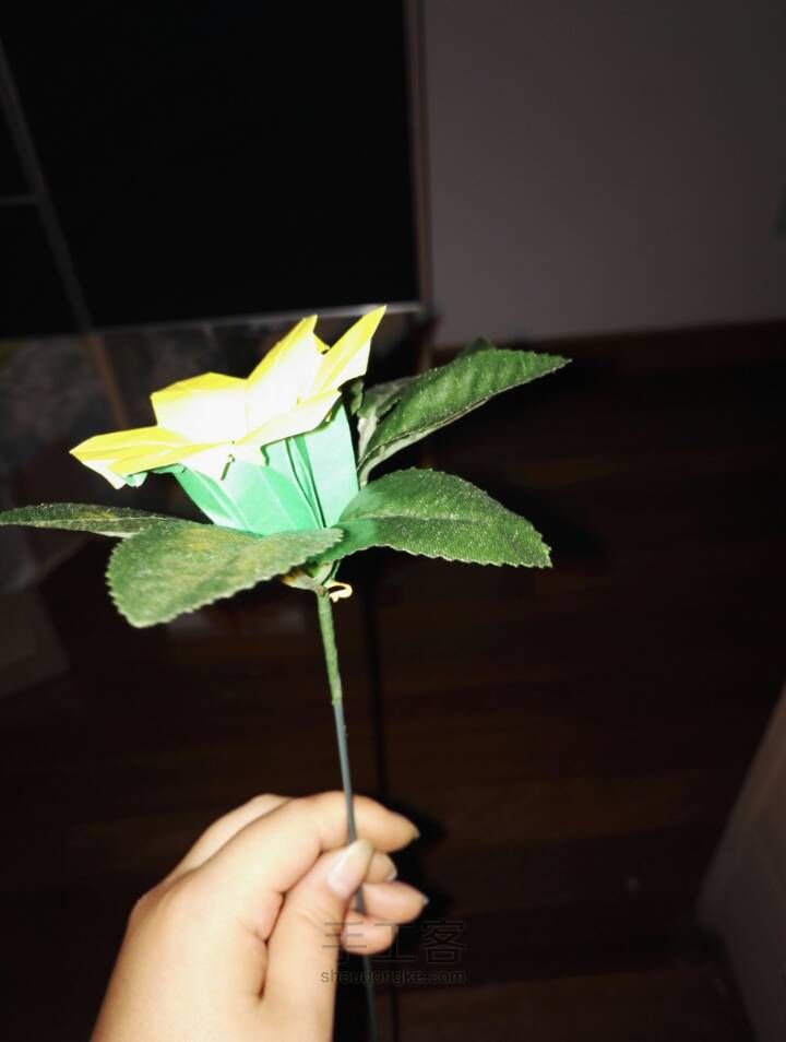 美腻六瓣花 第37步