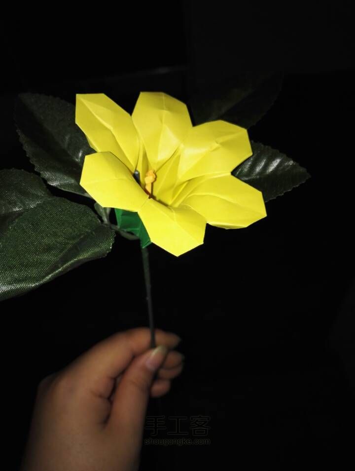 美腻六瓣花 第36步